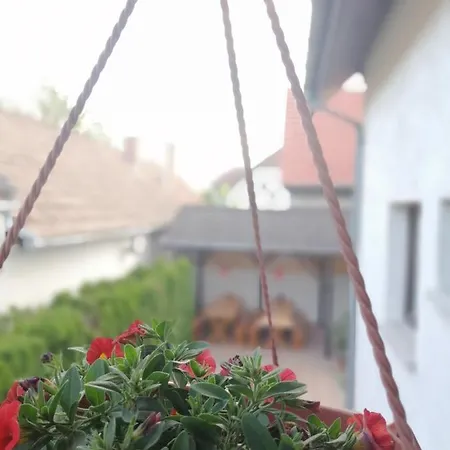 Susanna Vendégház *